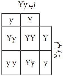 جدول